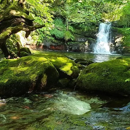 El Molino De Yera Appartamento Vega de Pas