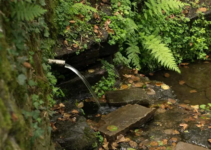 Molino De Yera Appartamento *