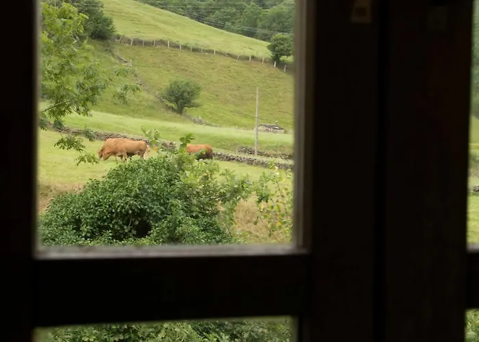 Appartement Molino De Yera